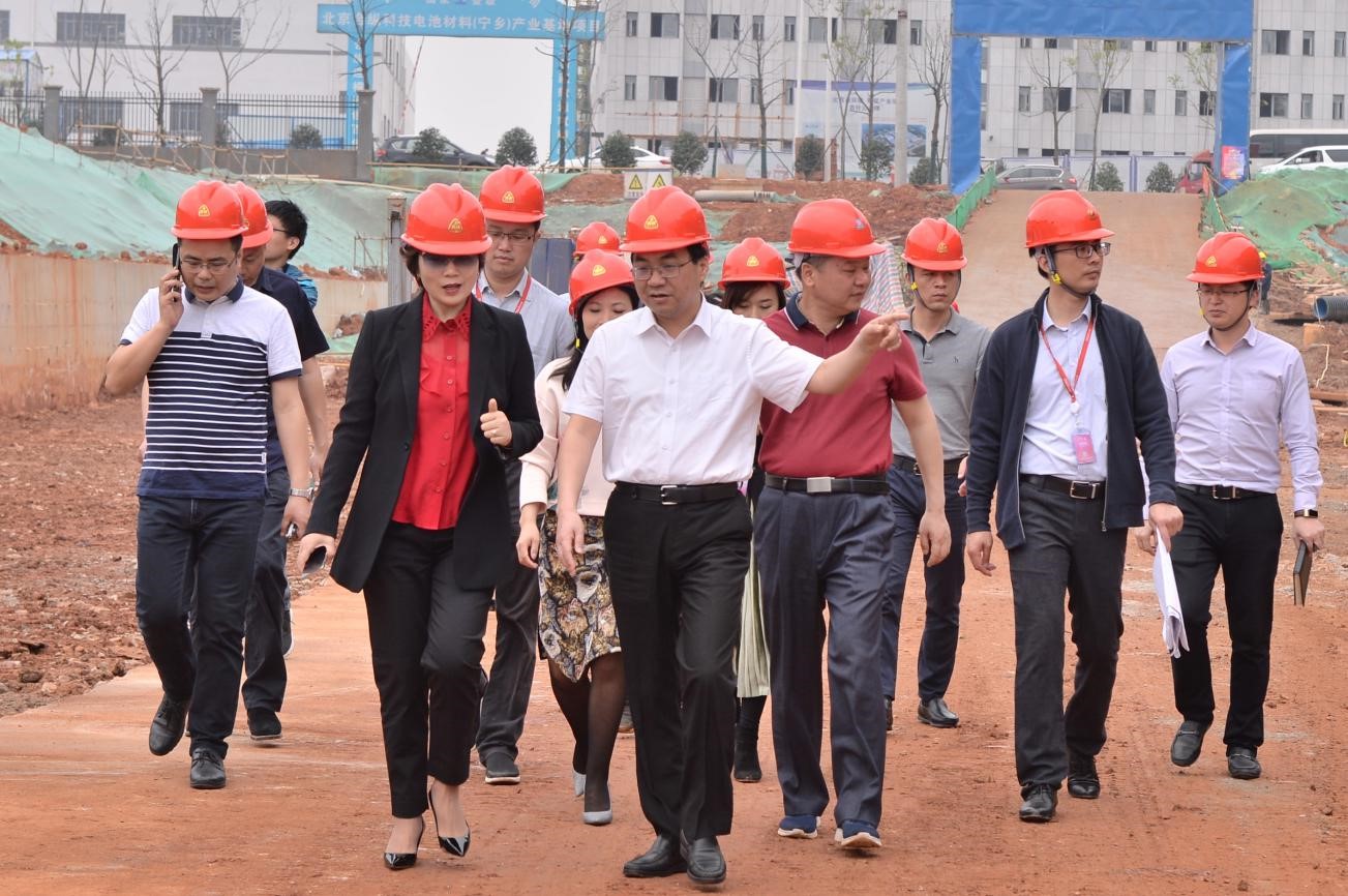 宁乡市委书记周辉赴中伟新材料宁乡基地项目调研