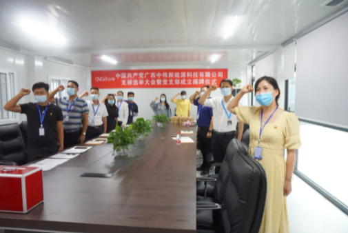 广西中伟新能源党支部正式成立