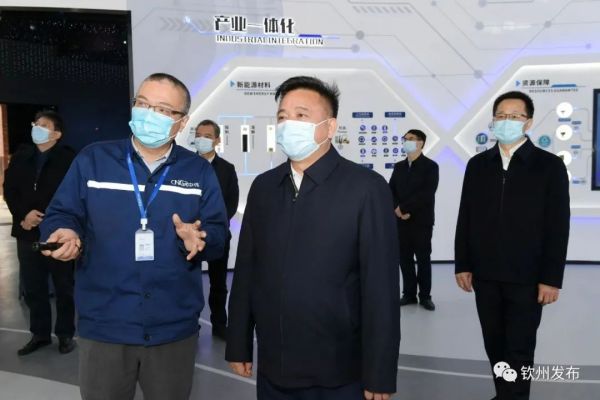 钦州市委书记林冠一行调研中伟钦州产业基地生产经营发展情况