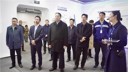 湖南省政协主席毛万春莅临中伟宁乡产业基地调研指导工作