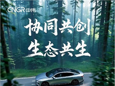 协同共创 生态共生 | 一图读懂中伟股份2024年年报 